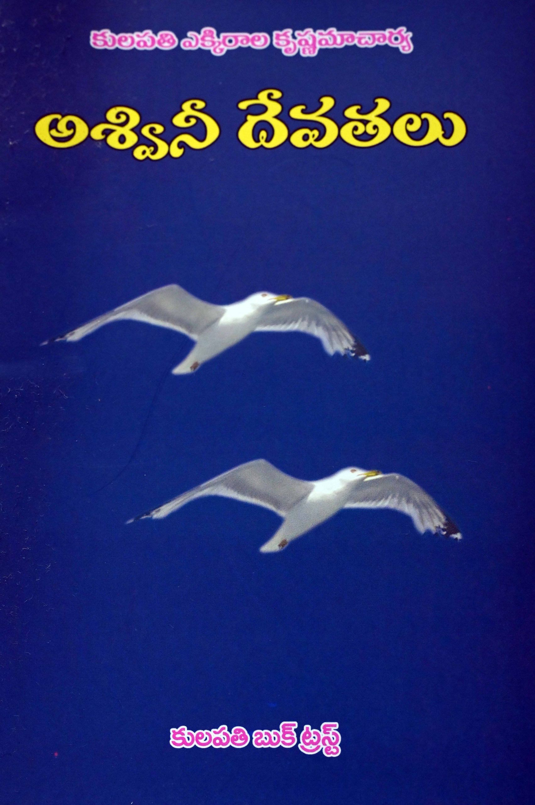 అశ్వినీ దేవతలు